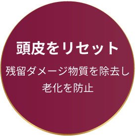 頭皮をリセット